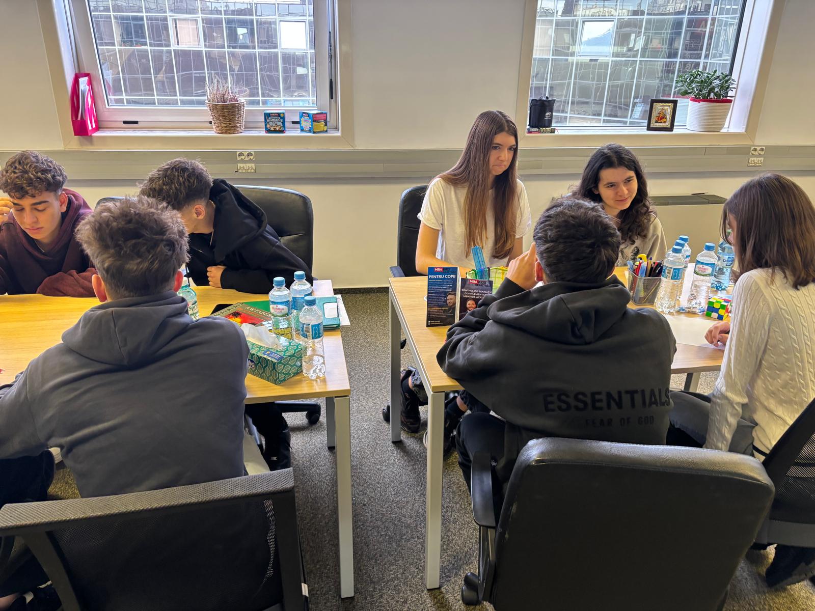 Atelier WiseUp – grup de lucru